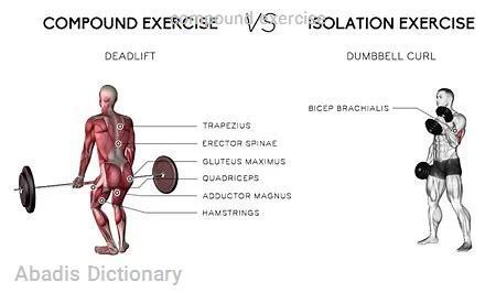 compound exercise